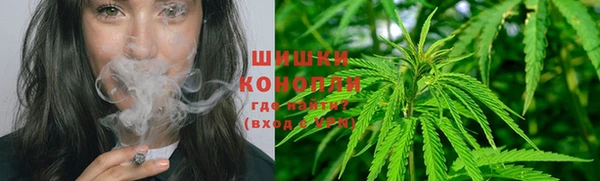 крисы Верея