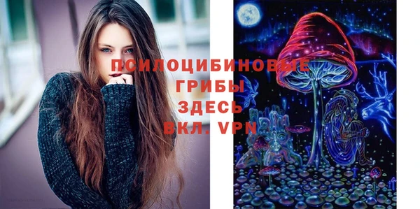круглые Верхний Тагил