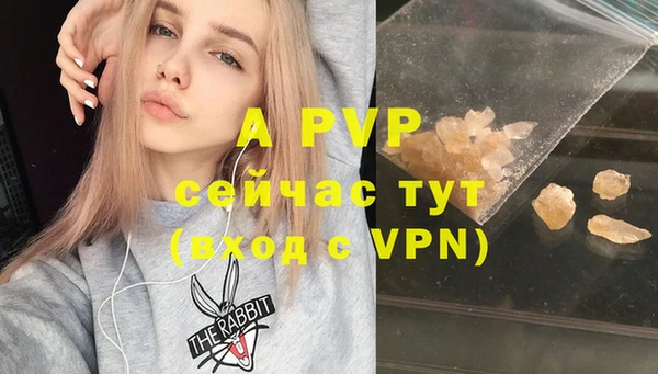 крисы Верея