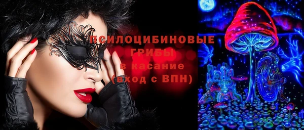 крисы Верея