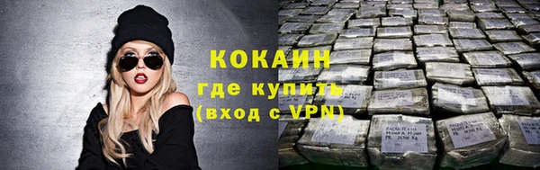 крисы Верея