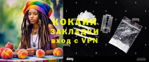 крисы Верея