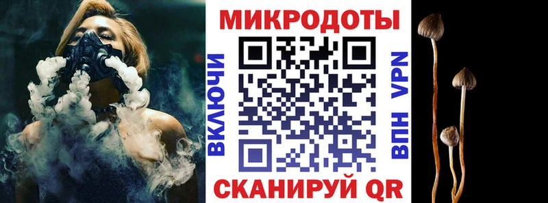 Псилоцибиновые грибы Cubensis  Геленджик 